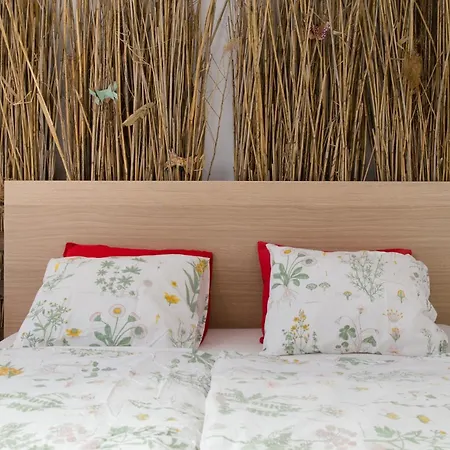 بيت ضيافة Rastlinky.sk Greenhouse Guestrooms *