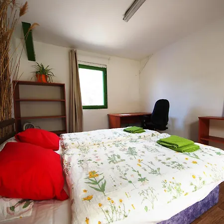 بيت ضيافة Rastlinky.sk Greenhouse Guestrooms براتسيلافا