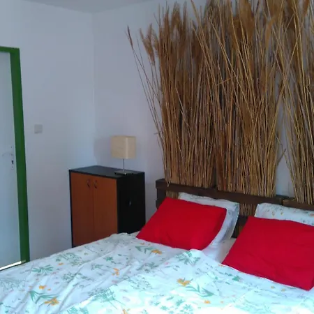 Rastlinky.sk Greenhouse Guestrooms براتسيلافا