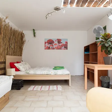 Rastlinky.sk Greenhouse Guestrooms براتسيلافا