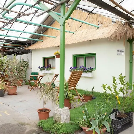 Rastlinky.sk Greenhouse Guestrooms بيت ضيافة براتسيلافا
