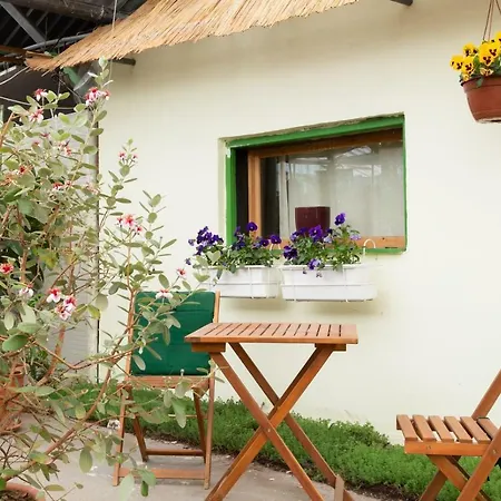 Rastlinky.sk Greenhouse Guestrooms Πανσιόν Μπρατισλάβα