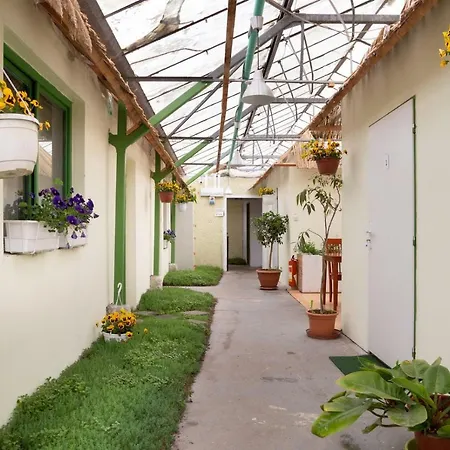 Rastlinky.sk Greenhouse Guestrooms * 브라티슬라바